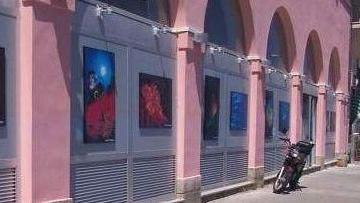 Cavallucci e licheni L’acquario spalanca le porte alle scuole