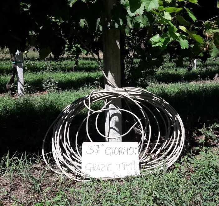«Linee mute da 37 giorni Tim ha messo il palo e non ha attaccato i fili»