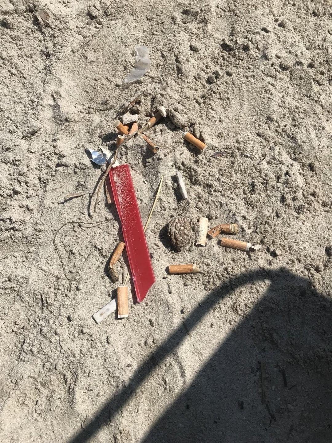 Barbari all'assalto di Cala Brandinchi, un appello: "Proteggetela come Stintino" 