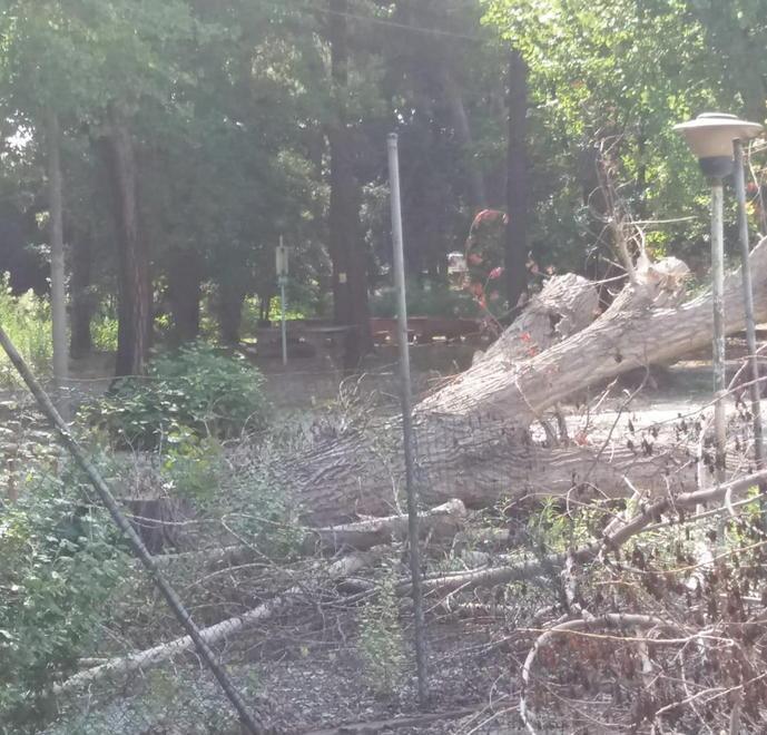 Il parco dei Conigli trasformato in discarica 