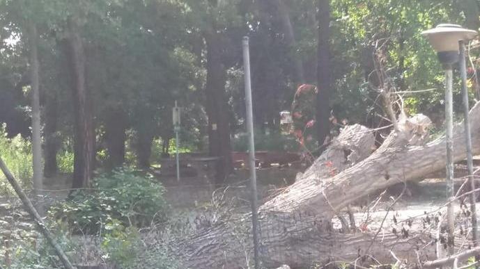 Il parco dei Conigli trasformato in discarica