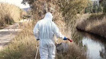 Disinfestazione contro le zanzare per un caso di febbre Dengue