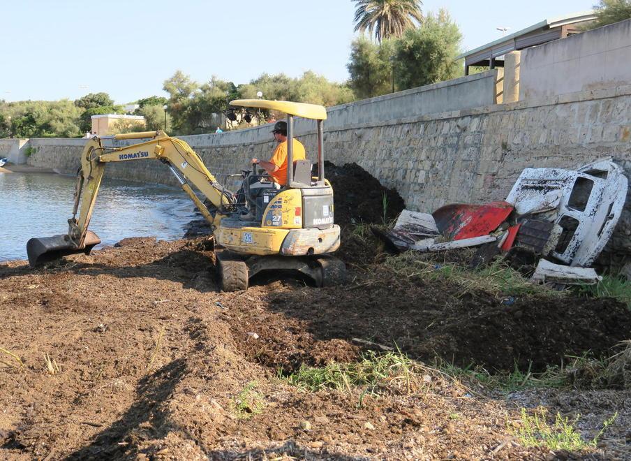 Cumuli di alghe e relitti finalmente dopo anni la spiaggia viene pulita