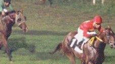 <strong>NOTTURNA.</strong> Una corsa all’ippodromo del Casalone