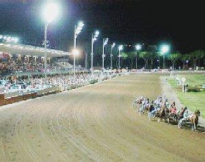Un momento di una corsa in notturna all’ippodromo Sesana