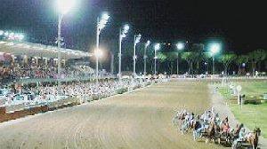 Un momento di una corsa in notturna all’ippodromo Sesana