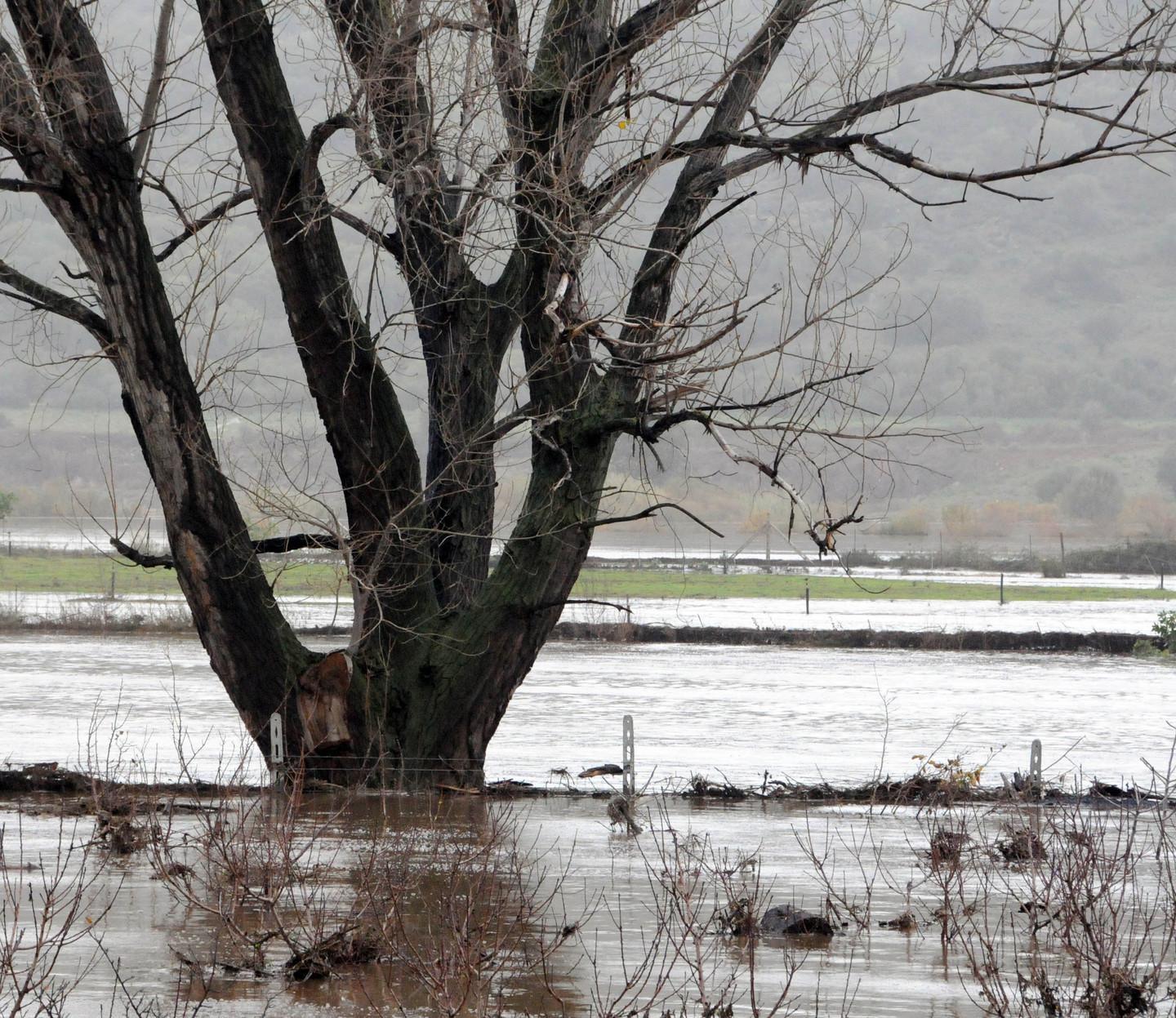 Campagne in ginocchio la Regione lancia l’Sos 