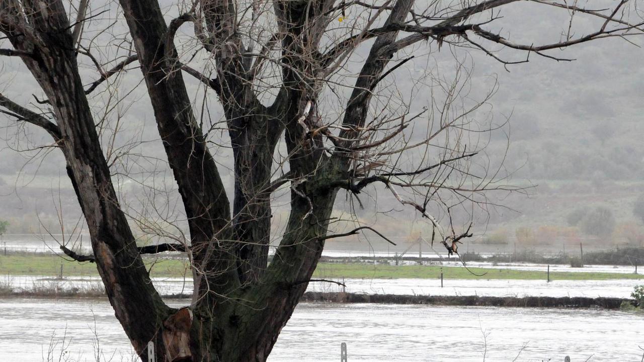 Campagne in ginocchio la Regione lancia l’Sos