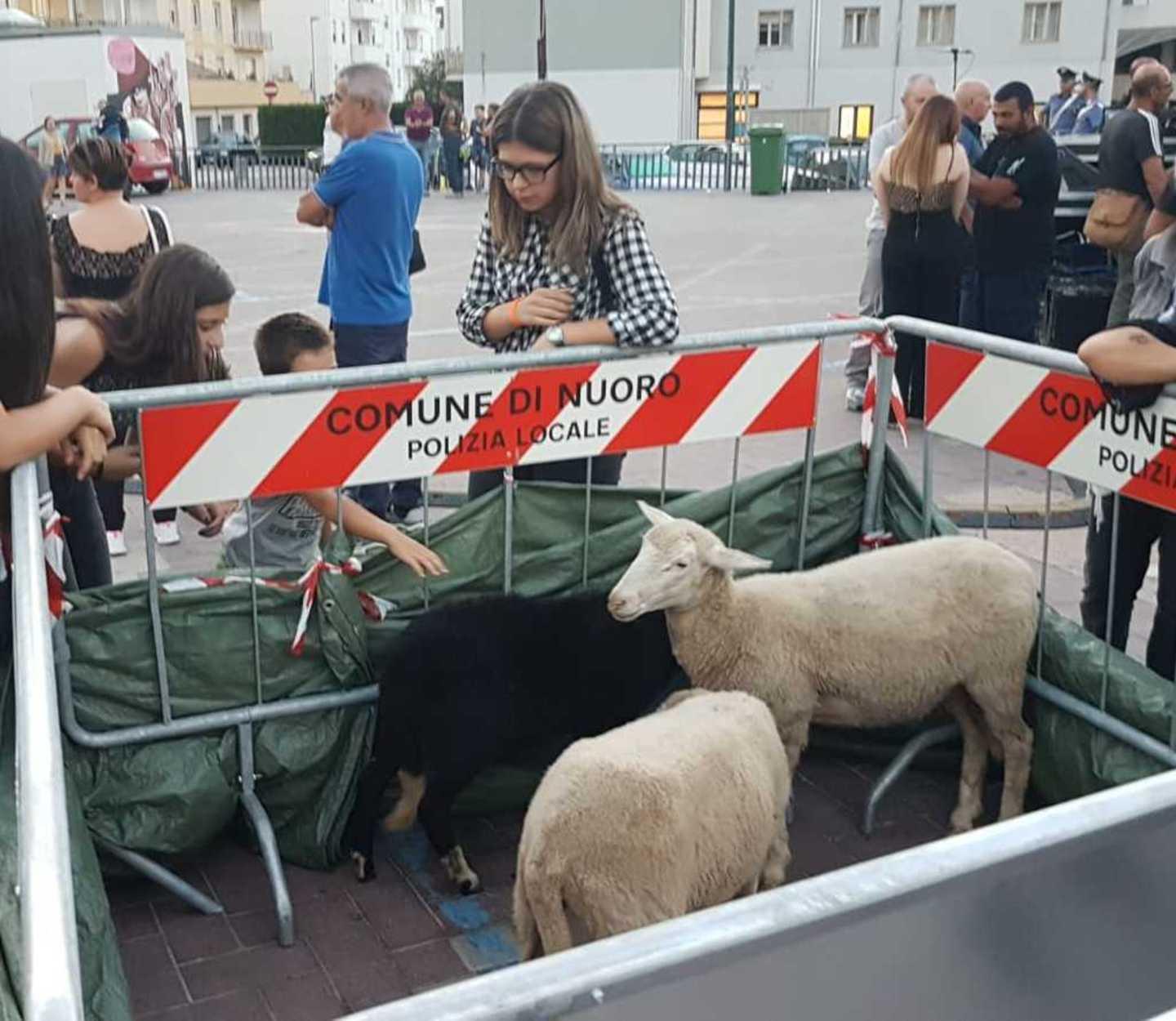  I pastori di Cascia arrivano a Nuoro per “Sa paradura”