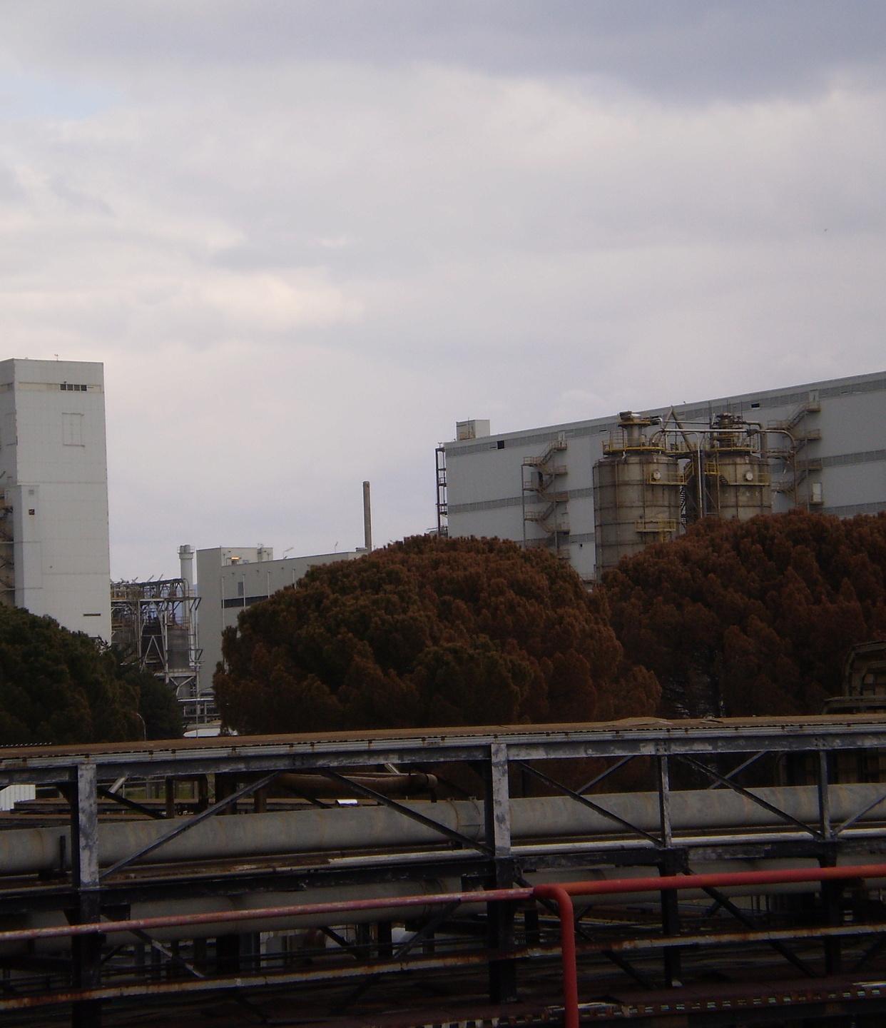 Appello della Filctem-Cgil: riaprire Ottana Polimeri 