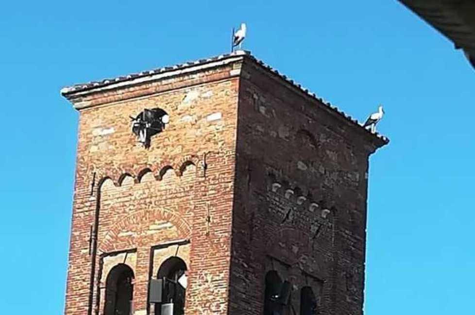 Dal borgo di Poppi a Lucca, le cicogne puntano l’Africa 