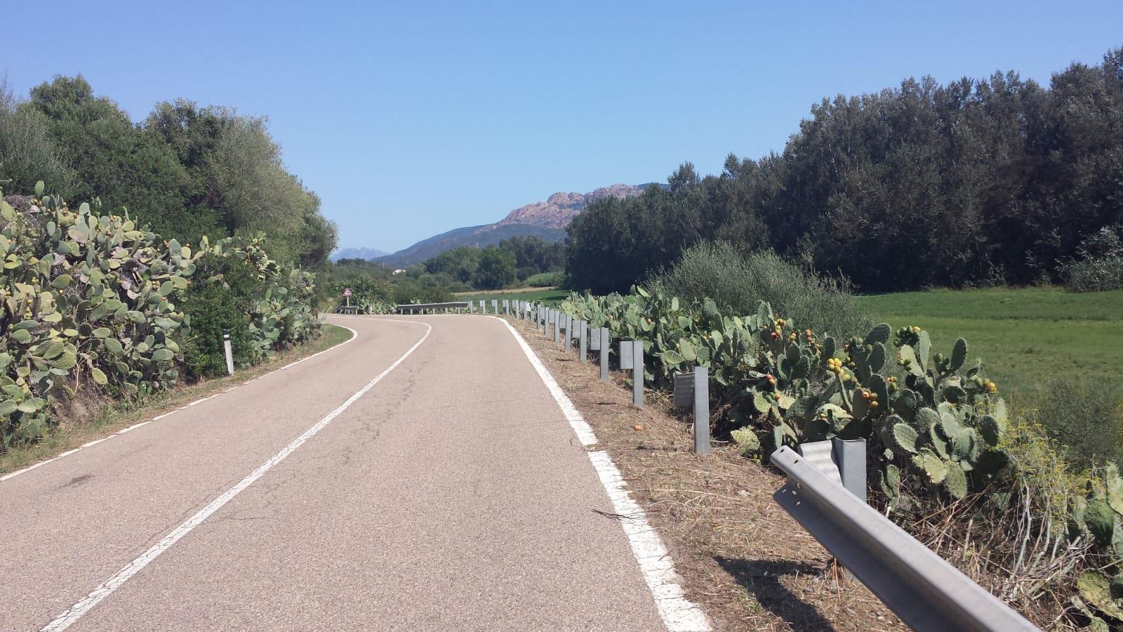 Rubano 50 metri di guard rail sulla vecchia Orientale sarda