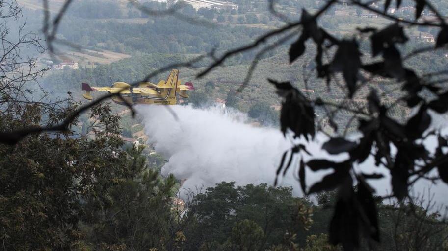 Fiamme sui Monti Pisani In fumo 10 ettari di bosco