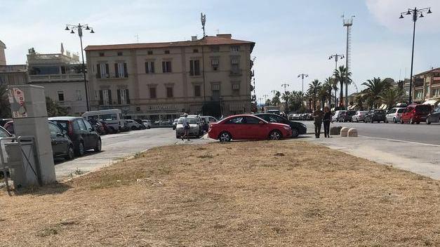 Aiuole malridotte con erba secca e gialla