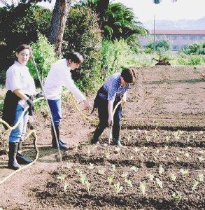 Al lavoro nell’orto condiviso per coltivare i prodotti da portare in tavola