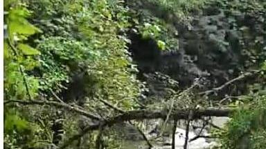 Una discarica e alberi caduti: «Servono lavori sul Frigido»