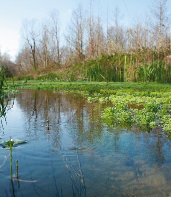 «Intervenga lo Stato per salvare lago di Porta dalla distruzione»