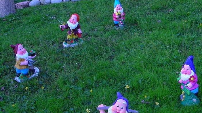 Rubano quattro nani da giardino nella villa di un professionista