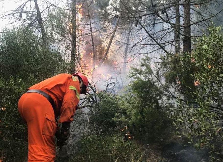 Lotta al fuoco: il racconto di chi agisce in prima linea 