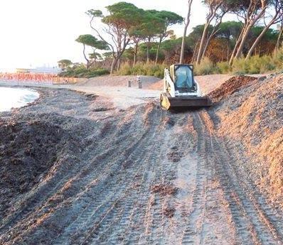 Smaltiva alghe sulla spiaggia libera Multato titolare di uno stabilimento 