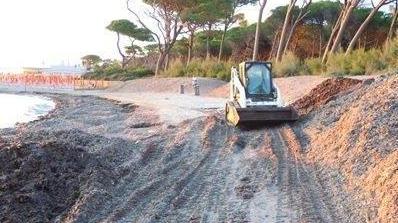 Smaltiva alghe sulla spiaggia libera Multato titolare di uno stabilimento