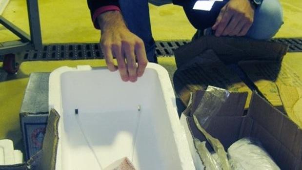 Pesce congelato spacciato per fresco ristorante nei guai