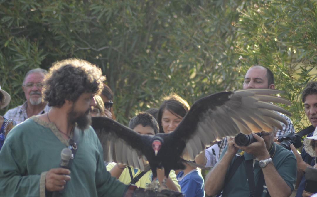 Il sindaco replica alla Lipu: «Il falconiere ama i rapaci» 