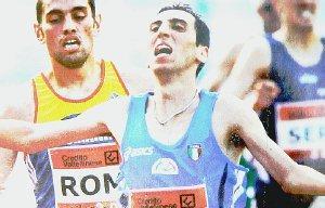 <strong>MEZZOFONDISTA.</strong> Stefano La Rosa