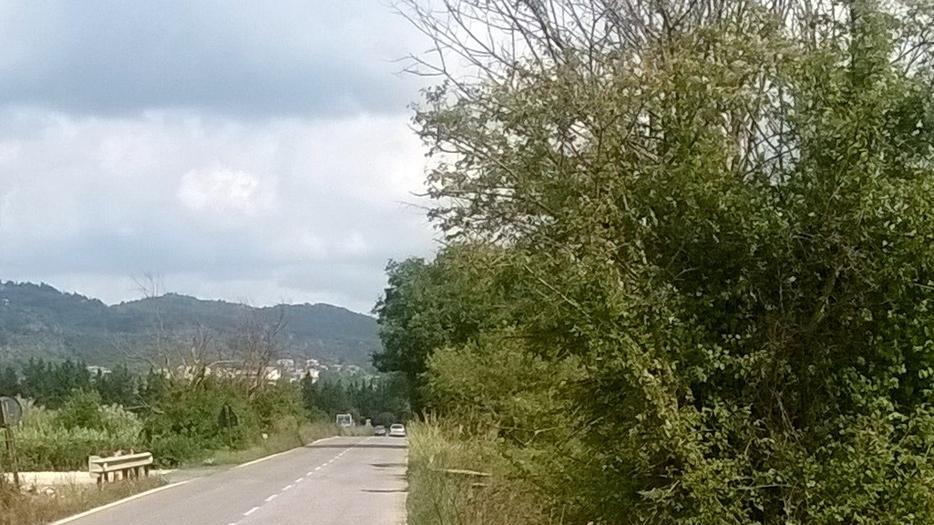 “Suveretana” abbandonata e invasa da erba e canneti