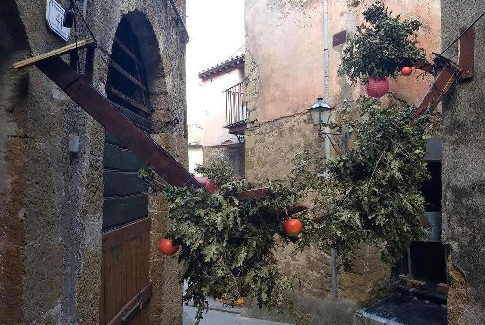 Vandali scatenati Addobbi di una cantina danneggiati nella notte 