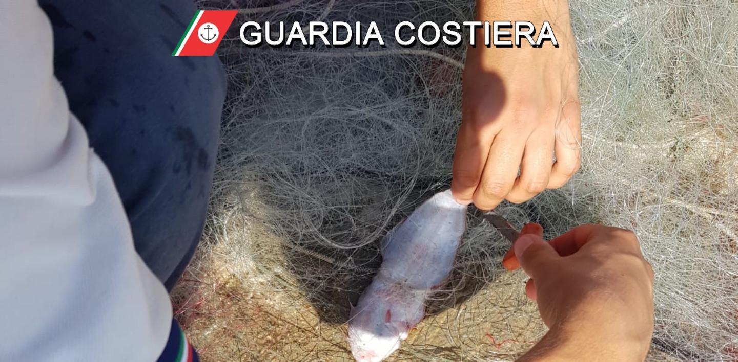 Rete da pesca abusiva di 800 metri nella spiaggia di Pittulongu