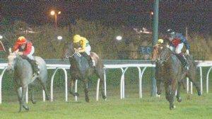 Un’immagine delle corse al galoppo all’ippodromo Caprilli