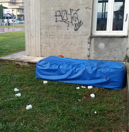 Sulla raccolta dei funghi la Regione ancora tace