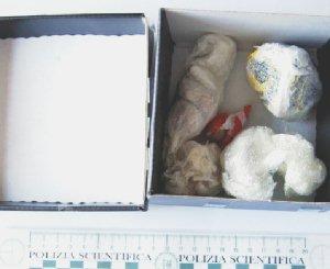 La droga sequestrata dalla sezione narcotici e il tunisino arrestato, Abdelrahim Zamzouni