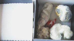 La droga sequestrata dalla sezione narcotici e il tunisino arrestato, Abdelrahim Zamzouni