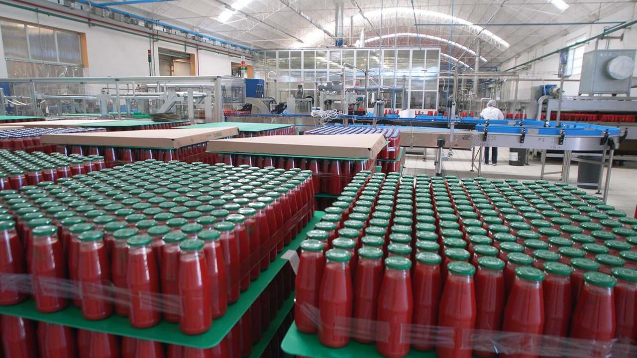 Lo stabilimento Italian Food di lavorazione dei pomodori per Petti