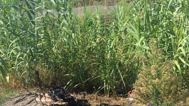 Rifiuti e montagne di bottiglie di plastica: al Lavello una discarica a cielo aperto