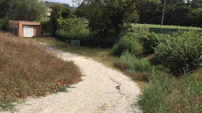 Rimossi dopo le proteste i box “dimenticati” ora in Buca resta l’incuria
