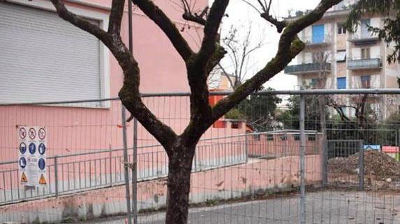 Chi pensa al privato, chi non vuole pagare in attesa del trasloco