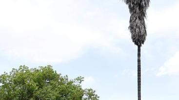 Paladini-Civitali, i sindacati bussano a Menesini