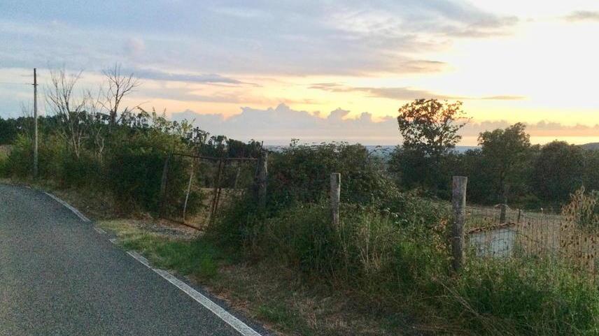 «L’aveva già assalito una volta danneggiandogli il fegato»