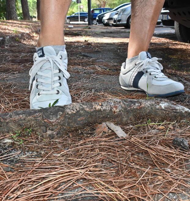 Stradelli sporchi e tombini rotti Sos dal parco di via Austria 
