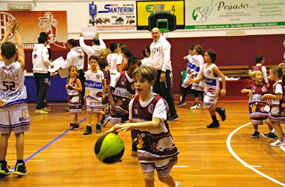 Domani alle 17 l’Open Day dei Leoni 