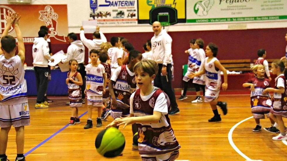 Domani alle 17 l’Open Day dei Leoni