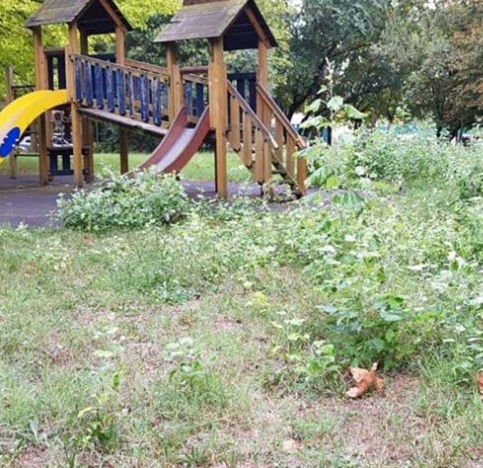 «Dateci un machete per arrivare ai giochi»