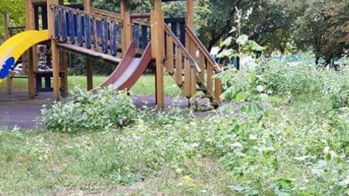 «Dateci un machete per arrivare ai giochi»