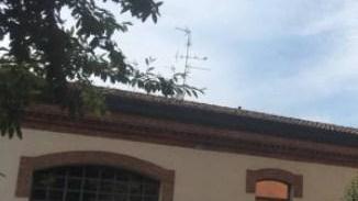 Una guardia giurata a tutela degli operatori dei servizi sociali