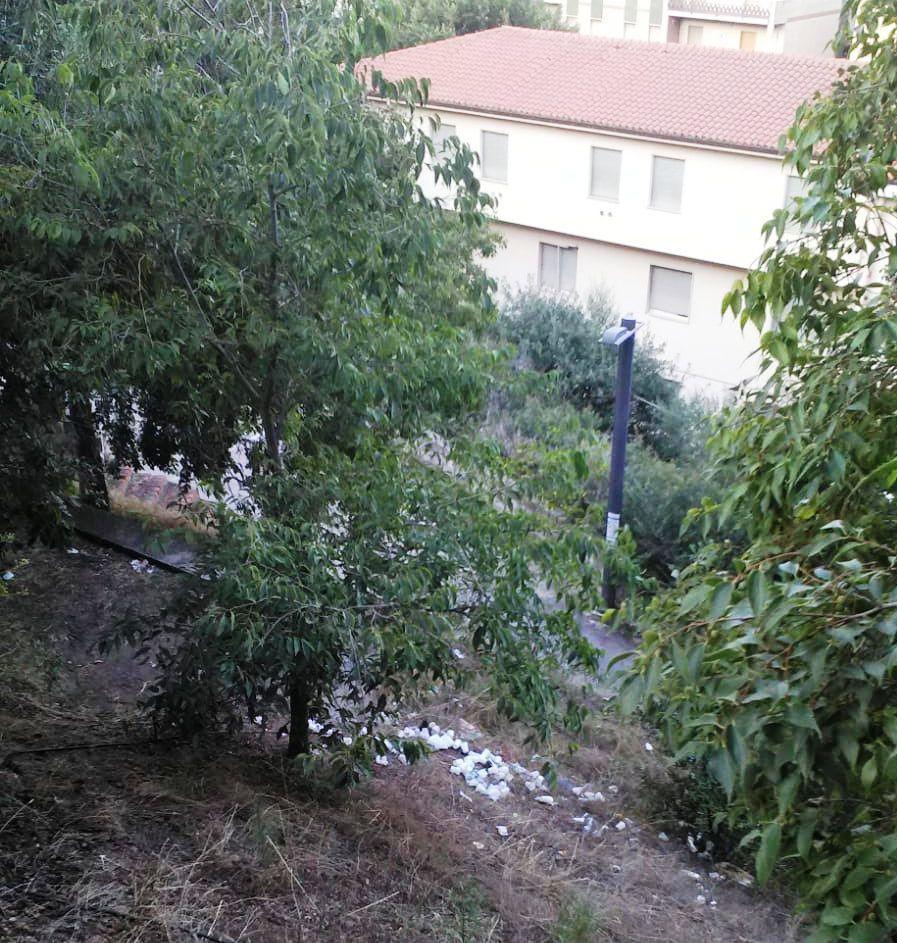 Cumuli di rifiuti gettati nella scarpata