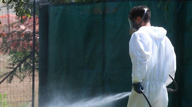West Nile, al via analisi su anziano copparese Accertamenti in corso