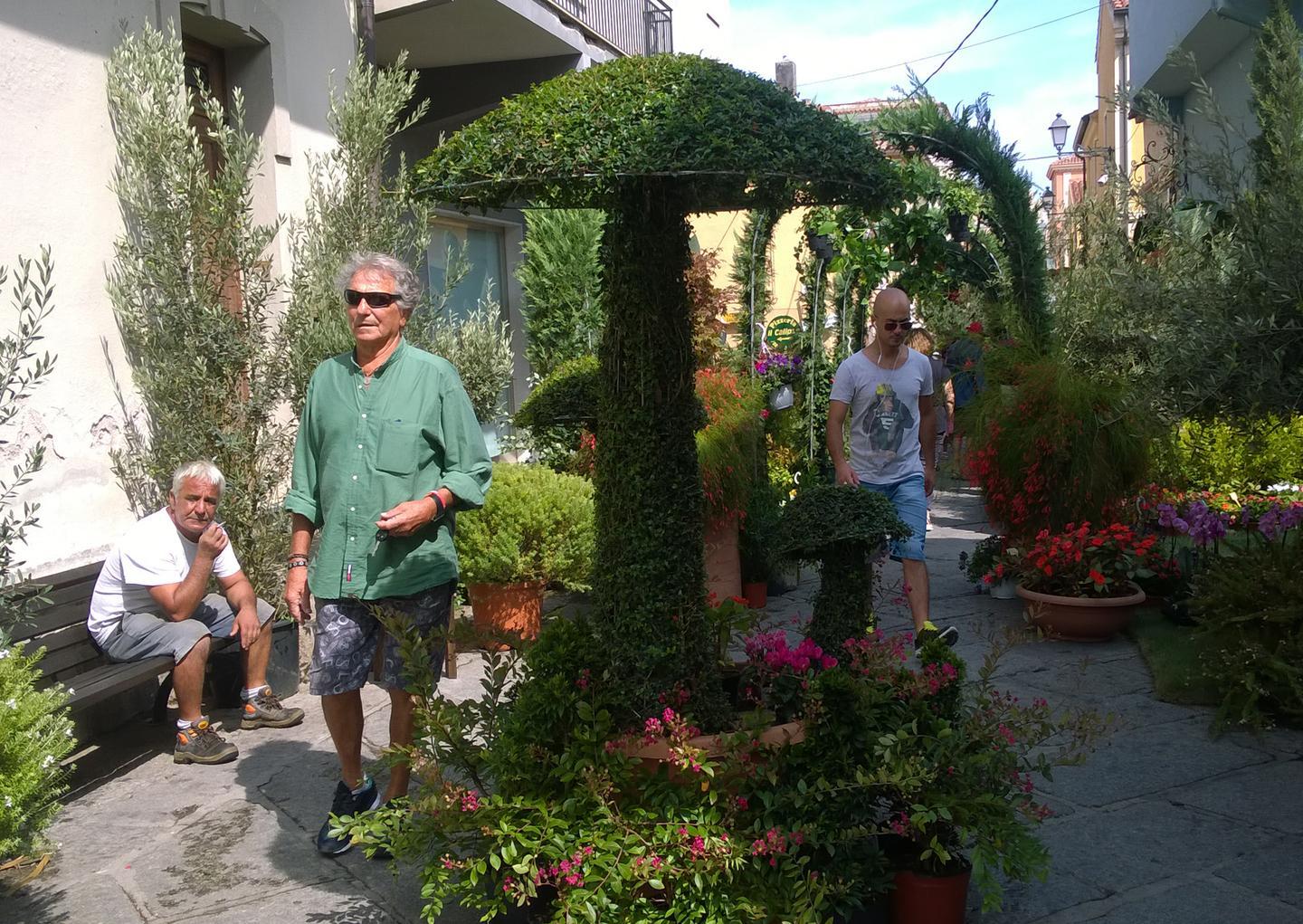 “Estate in fiore” va in archivio con successo: la giuria premia la Green center